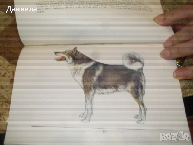 Породите кучета в България-Андрей Мицулов, снимка 6 - Специализирана литература - 48654909
