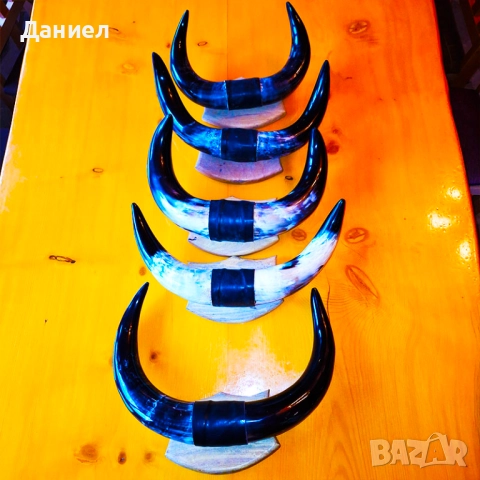 Декорация от рога на воден бивол