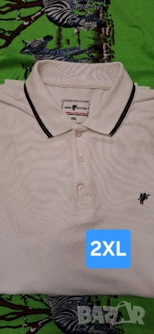 Мъжки тениски с якичка големи размери,2ХL,3XL,4XL, снимка 12 - Блузи - 51620099