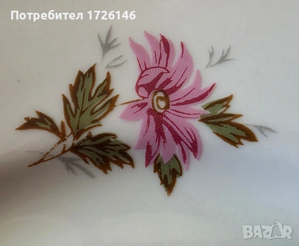 Порцеланова чиния с червен кант Разград Горски слез , снимка 5 - Чинии - 54055477