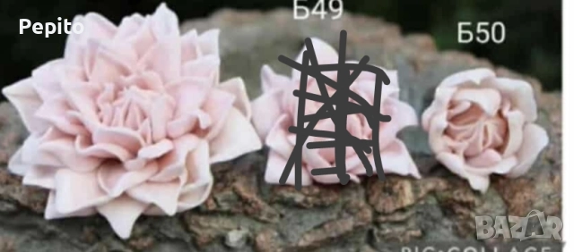 Нови молдове цветя, снимка 7 - Други - 52337636