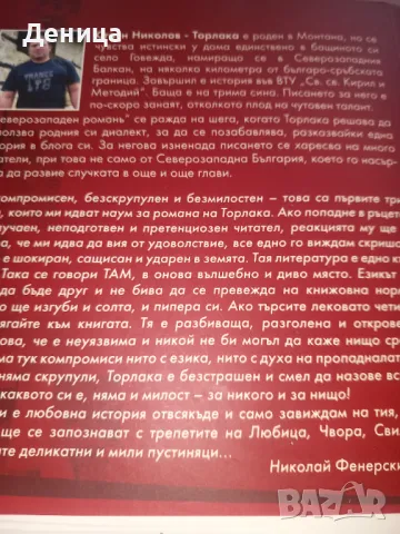 Северозападен роман, снимка 2 - Художествена литература - 48547244