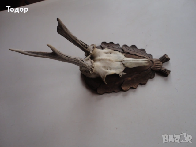 Ловен трофей рог рога дърворезба 13, снимка 2 - Ножове - 54087340