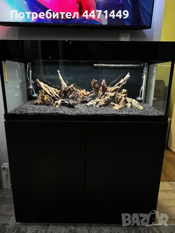 Оборудван Аквариум, снимка 4 - Оборудване за аквариуми - 53907189