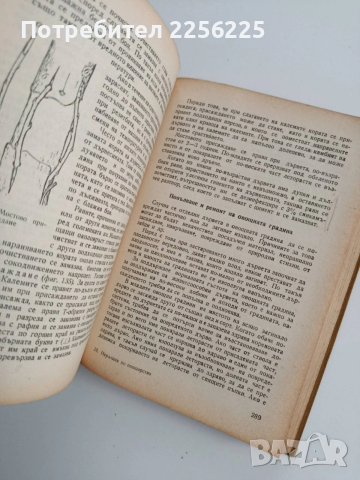 Наръчник по овощарство 1960г, снимка 6 - Специализирана литература - 53385359