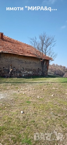 Къща с дворно място в село Шишманово обл. Хасково, снимка 6 - Къщи - 52525162