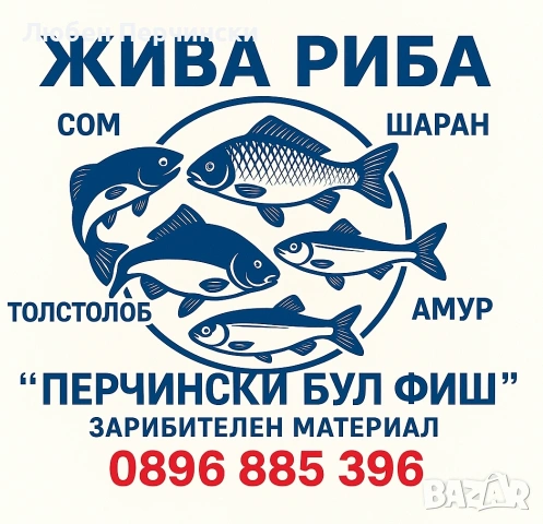 Продавам рибни консерви , снимка 3 - Други услуги - 53438506