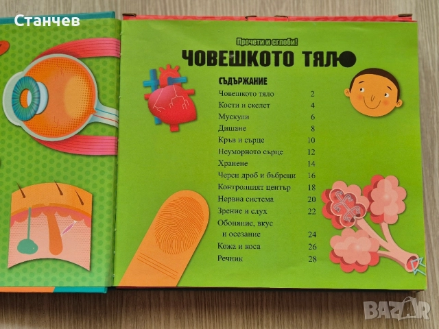 Прочети и сглоби! Човешкото тяло, снимка 2 - Игри и пъзели - 51496902