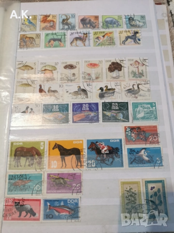 Албум с марки, снимка 2 - Колекции - 52849216