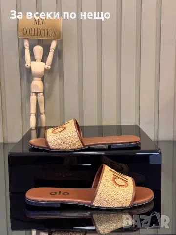 Alo Дамски Чехли Ало - 2 Налични Цвята Код E372, снимка 2 - Чехли - 50422109