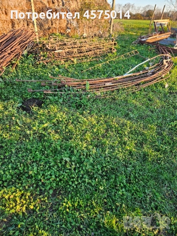 оранжерия , снимка 3 - Оранжерии - 52529368