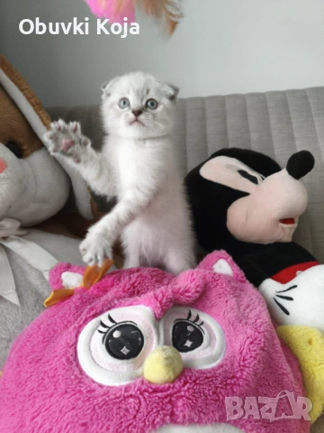 Не е красив просто е уникален свикнало с малко детенце страхотен подарък за вашите любими 