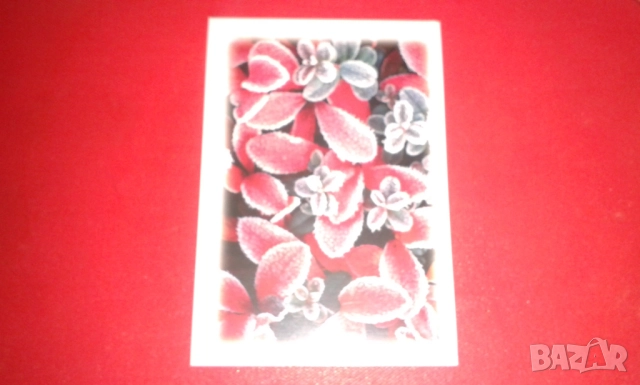 4 прекрасни двойни картички на тема "Зимна природа"с подходящи послания, снимка 10 - Колекции - 52380809