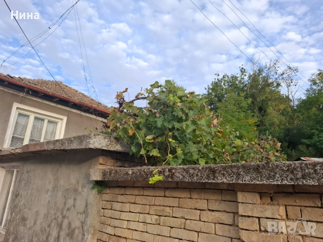 Къща с двор и постройки, снимка 4 - Къщи - 52310073