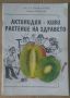 Актинидия-Киви растение на здравето  Петко Личев, снимка 1 - Специализирана литература - 45890836