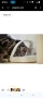 Sure Petcare -SureFlap - SureFeed - Хранилка за домашни любимци с микрочип - Селективната автомат, снимка 6