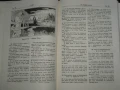 Стара Бибилия- 1949г.  Цена- 20 евро. Пращам по Еконт. За София, може и лично да минете., снимка 8