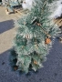 Елха - Изкуствена коледна елха с бели връхчета и шишарки , снимка 12