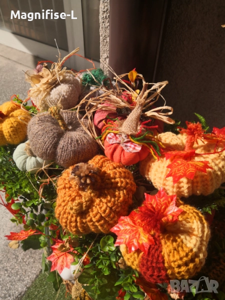 Декоративни тикви, снимка 1