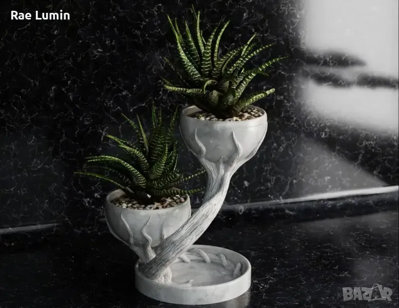 Кашпа – две растения, снимка 1