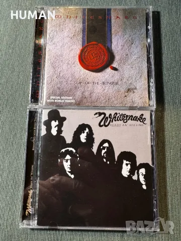 Whitesnake - David Coverdale, снимка 6 - CD дискове - 48452594