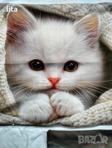 Декоративна възглавница + 2 калъфки , снимка 2 - Декорация за дома - 53220837