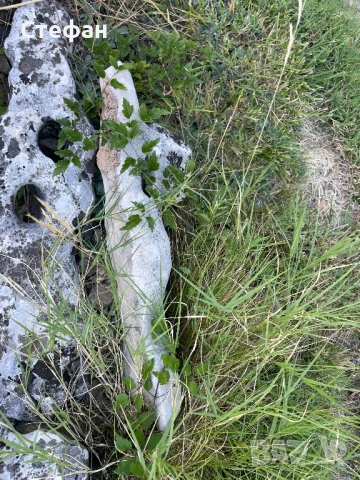 Камъни за алпинеум, снимка 4 - Градински мебели, декорация  - 51324424