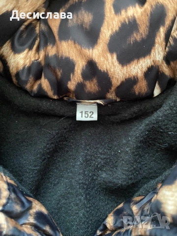 Зимни якета XS, снимка 9 - Якета - 52278597