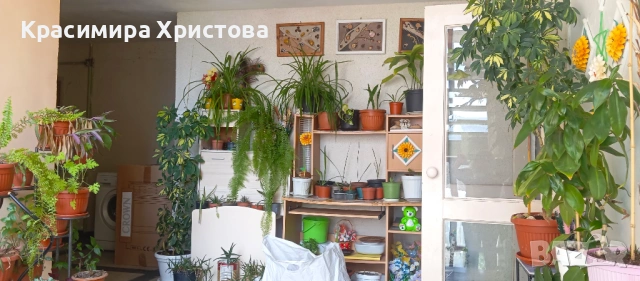 Студио до Албена, снимка 9 - Апартаменти - 53925173