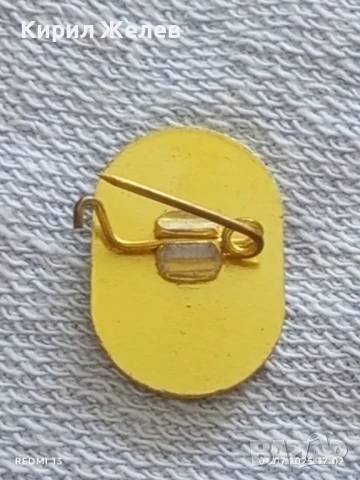 Лот значки 6 броя стари редки ЛЕВ ТОЛСТОЙ за КОЛЕКЦИЯ ДЕКОРАЦИЯ 25318, снимка 6 - Колекции - 50864077