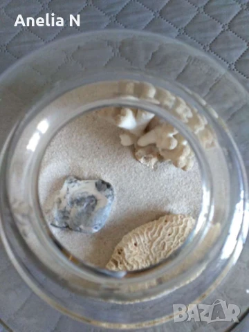 Аквариум -3л, снимка 3 - Аквариуми - 51018760