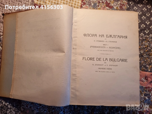 Флора на България., снимка 3 - Други - 53635906