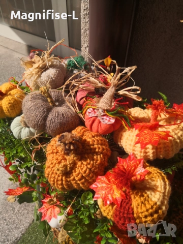 Декоративни тикви, снимка 1