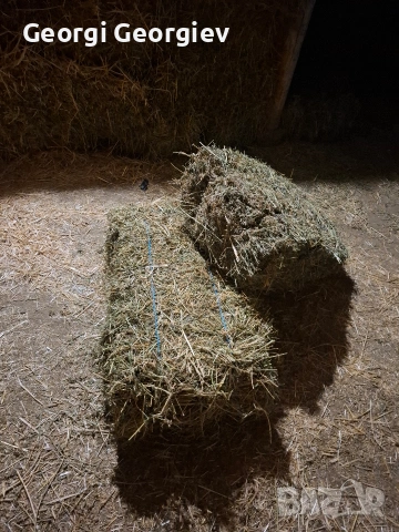 Люцерна малки бали реколта 2025, снимка 2 - За селскостопански - 54000652