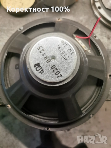 Говорители 10 инча  (тонколони), снимка 6 - Тонколони - 46612523