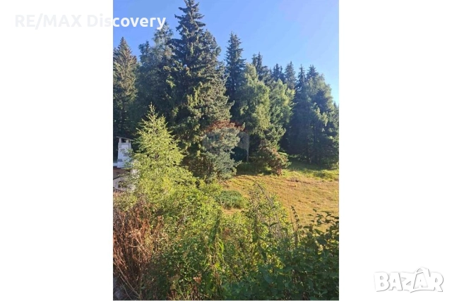 УПИ за продажба  близо до Роженските поляни