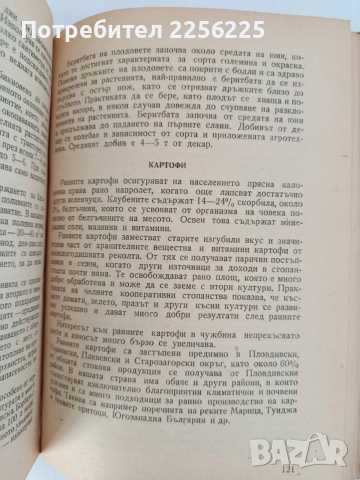 Ранно и късно полско зеленчукопроизводство , снимка 3 - Специализирана литература - 52790284