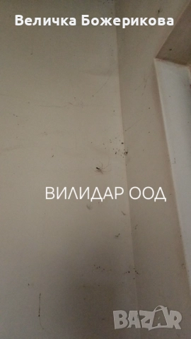 Почистване, снимка 13 - Почистване на домове - 52586269