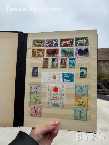 Голям класьор с различни пощенски марки, снимка 1