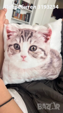 Юджийн (найжъл)