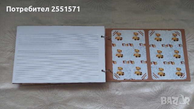 Албум Моята бременност, снимка 11 - Други - 54250638