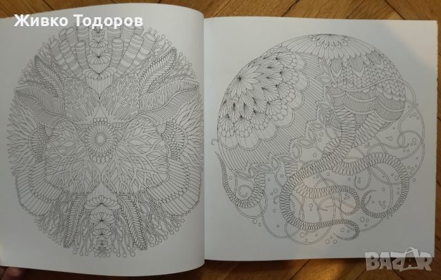 Книги за Оцветяване за възрастни Fabulous Flowers /Flora Botanika, снимка 16 - Други - 45523807