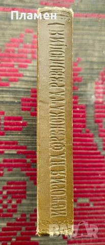 История на Френската революция Никола Станевъ /1900/, снимка 3 - Антикварни и старинни предмети - 53915547