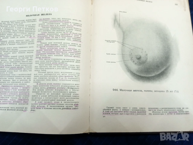 Атлас анатомии человека., снимка 10 - Енциклопедии, справочници - 53476651