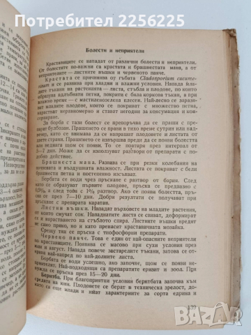 Ранно и късно полско зеленчукопроизводство , снимка 7 - Специализирана литература - 52790284