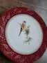 декоративна порцеланова чиния с птица и позлата Limoges 8/1, снимка 3