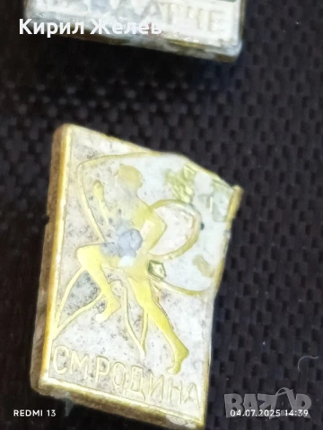 Лот значки 10 броя стари редки А.С. ПУШКИН, ЧАВДАРЧЕ, БАТАК за КОЛЕКЦИЯ 48656, снимка 5 - Колекции - 50906656