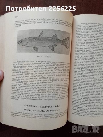 Полска практика по зоология, снимка 5 - Специализирана литература - 50453504