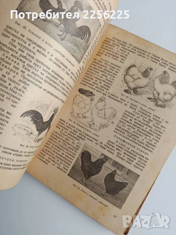 Птицевъдство, снимка 4 - Специализирана литература - 53540000