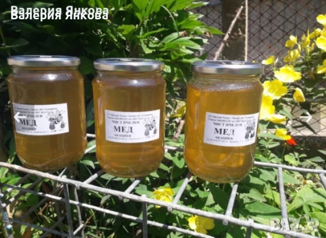 Пчелен мед - 100 % натурален реколта 2025г, снимка 2 - Пчелни продукти - 24128490